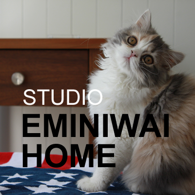 eminiwaihome1